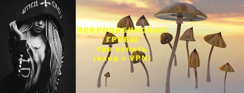 Галлюциногенные грибы MAGIC MUSHROOMS  Борисоглебск 